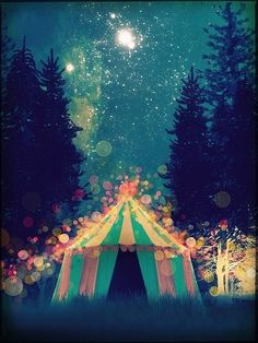 an image of a tent with fireworks in the sky above it and trees around it