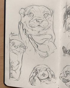 an open sketch book with drawings of animals