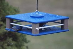 a blue bird feeder hanging from a tree