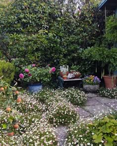 some potted plants and flowers in a garden