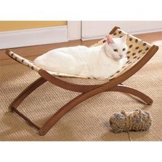 a white cat laying on top of a wooden chair