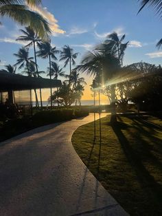 the sun is setting behind some palm trees