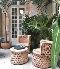 two wicker chairs sitting next to each other in front of some potted plants