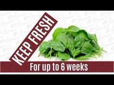 spinach leaves with the words keep fresh for up to 6 weeks