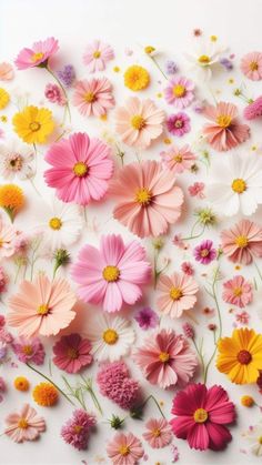 many different colored flowers on a white surface