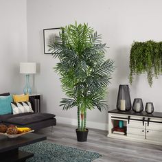 a living room filled with furniture and a potted plant in the middle of the room