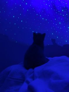 a cat sitting on top of a bed under a night sky filled with stars