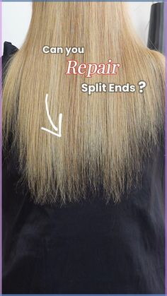 Once split ends are present, you can't get rid of them; you will have to eventually cut them off. The best way to address this is by using a quality hair treatment to rejuvenate and repair damaged hair. By incorporating a bond-repairing treatment and nourishing treatment into your hair care routine, you'll be taking proactive steps to reverse the damage and prevent it from becoming irreparable. Herbal Hair Rinse, Repair Split Ends, Winter Hair Care, Heat Damaged Hair, Repair Damaged Hair, Natural Hair Oils, Strawberry Blonde Hair, Wedding Hair Inspiration, Hair Shades