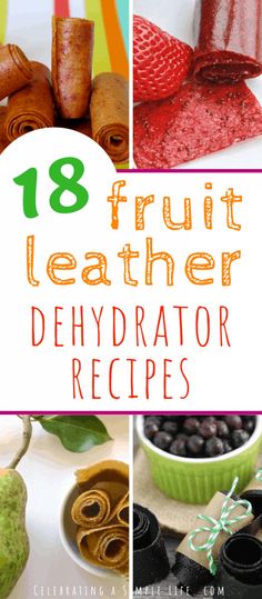 Dehydrated Fruit Leather Recipe, Mango Dehydrator Recipes, Hydrator Recipes, Dehydrator Fruit Leather Recipe, What To Dehydrate, Dehydrator Recipes Jerky, Dehydration Recipes