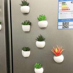 there are many succulents on the refrigerator