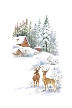 two deer standing in the snow next to a barn and trees with snow on it