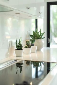 three succulents are sitting on the counter in this modern home kitchen area