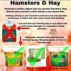 an advertisement for hamsters and hay with instructions on how to use the bag