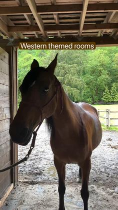 a brown horse standing inside of a stable next to a wooden wall and ceiling with the words western themed rooms on it