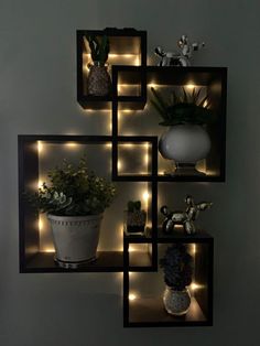 three shelves with plants and lights in them on the wall next to a vase filled with potted plants