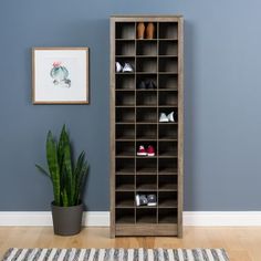 a shoe rack in the corner of a room with a rug and potted plant