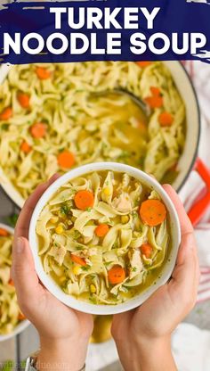 two hands holding a bowl of turkey noodle soup