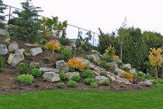 a hillside with lots of rocks and flowers on it in the middle of a grassy area