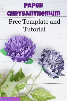 the paper chrysanthemum free template and printable flowers are on display