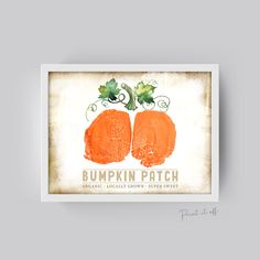 an old fashioned pumpkin patch sign on a gray background with the words pumpkin patch written below it