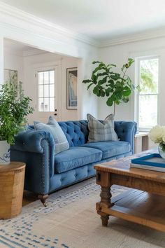 a living room filled with furniture and a large potted plant on top of a table