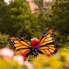 a large orange and black butterfly sitting on top of a lush green field filled with pink flowers