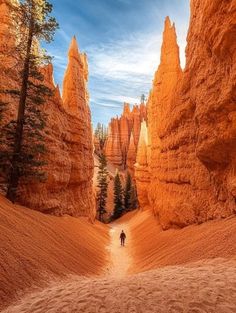 a person walking down a dirt path in the middle of some tall, rocky formations