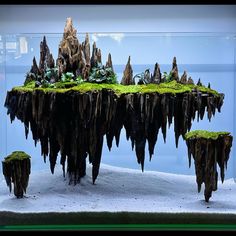 an aquarium with moss growing on the rocks