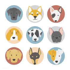 six different types of dogs in circles on a white background, each with their own dog's face