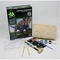 the dinosaur excavation kit includes paint, brushes and other items to make it look like an animal