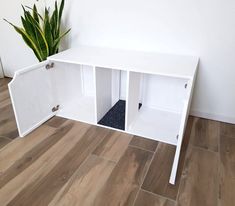 a white shelf with two open doors and a plant in it