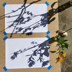 two pieces of paper cut out to look like flowers on the ground next to each other