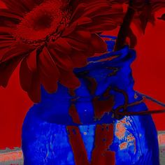 two red flowers in a blue vase on a table next to an orange and red wall