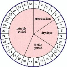 a circle with numbers and times on the inside, in different directions to describe what time it is