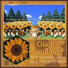 an advertisement for giant sunflowers is shown in the background, and there are many flowers on the ground