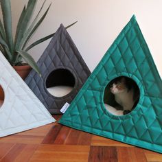 three different colored cat beds on the floor next to a potted plant and cacti