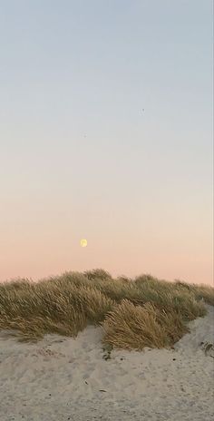 the sun is setting on the beach with grass blowing in the foreground and sand dunes to the left