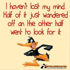 a cartoon duck with the words i haven't lost my mind half of it just wandering off an other half went to look for it