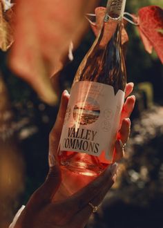 a person holding a bottle of wine in their hand with autumn leaves around it and the words valley ommon's