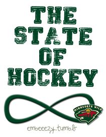 the state of hockey logo with an image of a green and white team's name