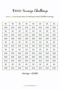 the $ 100 savings challenge is shown in this printable sheet for children to play with