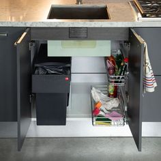 a kitchen sink with trash cans and other items in the cabinet space under it,