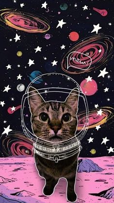 a cat is standing in the middle of space