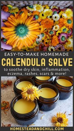 Calendula Salve, Herbal Remedies Recipes, Skincare Secrets, Herbal Recipes, Natural Healing Remedies, Herbal Healing