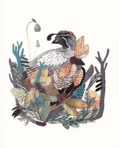 an illustration of a bird sitting on top of leaves and plants in watercolors