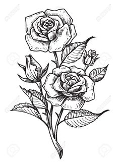 a drawing of two roses with leaves on the left and right side, in black and white