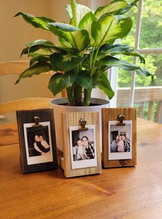 three wooden frames with photos are sitting on a table next to a potted plant