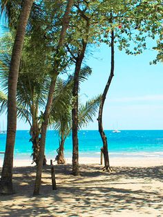 the beach is lined with palm trees and blue water