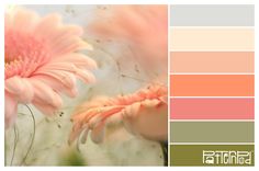 the color scheme is peach and green with pink daisies in it, including one large flower