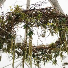 several jars are hanging from the ceiling with vines and ivys on them, as well as glass jars filled with water